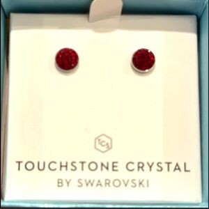 Touchstone Crystal By Swarovski 
January Birthstone Earrings